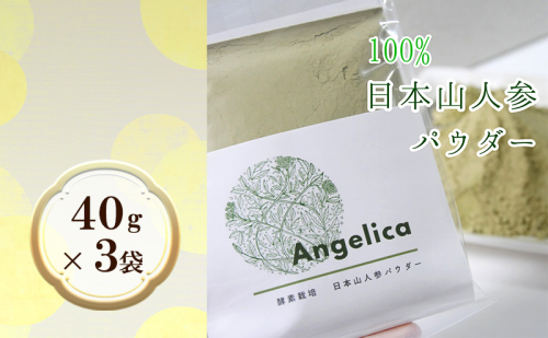 ★希少★日本山人参パウダー40g×3袋 飲料類 お茶 野菜/人参  201918 - 福岡県朝倉市