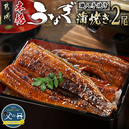 【父の日】職人手焼きの本格うなぎ蒲焼き2尾≪6月12日～15日お届け≫_MJ-3305-FG 2019330 - 宮崎県都城市