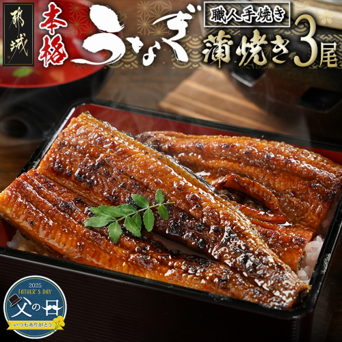 【父の日】職人手焼きの本格うなぎ蒲焼き3尾≪6月12日～15日お届け≫_AC-3301-FG 2019331 - 宮崎県都城市