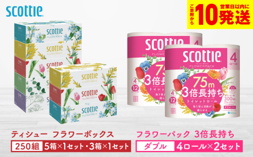 【スコッティ】ティシュー フラワーボックス 250組（5箱パック×1セット・3箱パック×1セット）＋フラワーパック 3倍長持ち（4ロール(ダブル)パック×2セット）ティッシュ トイレットペーパー 日用品 2019334 - 熊本県八代市