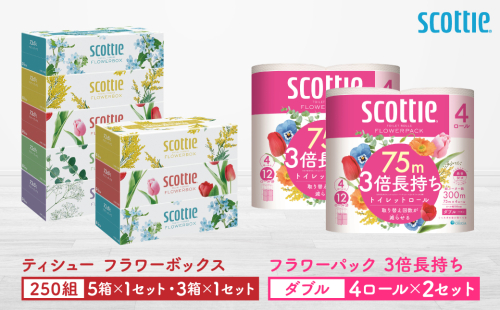 【スコッティ】ティシュー フラワーボックス 250組（5箱パック×1セット・3箱パック×1セット）＋フラワーパック 3倍長持ち（4ロール(ダブル)パック×2セット）ティッシュ トイレットペーパー 日用品 2019334 - 熊本県八代市