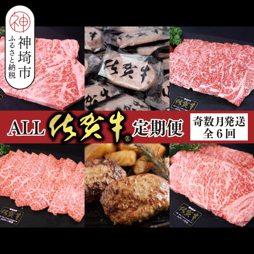 【奇数月発送 全6回定期便】ALL佐賀牛定期便【サーロインステーキ 赤身焼き肉 ハンバーグ カルビ焼肉 100%ハンバーグ ロースステーキ バラエティ豊か】(H118111) 2019456 - 佐賀県神埼市