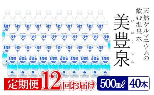 T27-1401／【12回定期便】飲む温泉水/美豊泉(500ml×40本)
 2019460 - 鹿児島県垂水市