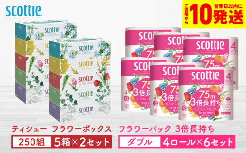 【スコッティ】ティシュー フラワーボックス 250組（5箱パック×2セット）＋フラワーパック 3倍長持ち（4ロール(ダブル)パック×6セット）ティッシュ トイレットペーパー 日用品 2019466 - 熊本県八代市