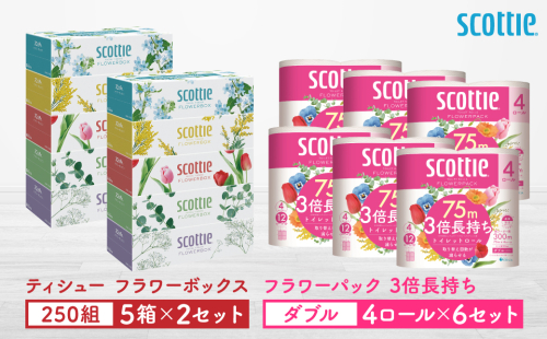 【スコッティ】ティシュー フラワーボックス 250組（5箱パック×2セット）＋フラワーパック 3倍長持ち（4ロール(ダブル)パック×6セット）ティッシュ トイレットペーパー 日用品 2019466 - 熊本県八代市