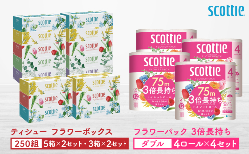 【スコッティ】ティシュー フラワーボックス 250組（5箱パック×2セット・3箱パック×2セット）＋フラワーパック 3倍長持ち（4ロール(ダブル)パック×4セット）ティッシュ トイレットペーパー 日用品 2019468 - 熊本県八代市