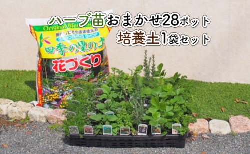 ハーブ苗 28ポット 培養土 20L 1袋 セット ガーデニング 植物 インテリア ガーデニングショップ四季の里  201965 - 福岡県朝倉市