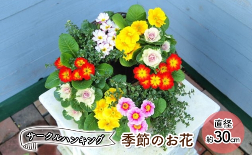 花 季節のお花 サークルハンギング 植物 インテリア 201971 - 福岡県朝倉市