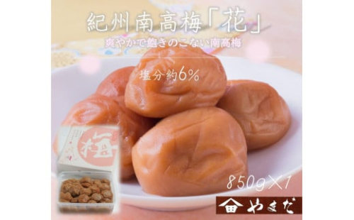 紀州南高梅 「花」 塩分約6％ 850g ［YM8］ 2020250 - 和歌山県上富田町