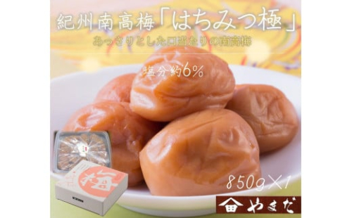 紀州南高梅 はちみつ極 塩分約6％ 850g ［YM10］ 2020252 - 和歌山県上富田町