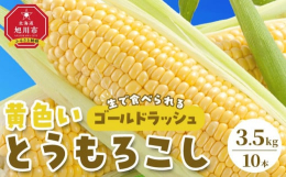 夏の北海道を代表する果実、生でも食べられる「スイートコーン（とうもろこし）」をお届けします！【受付期間】〜2025年8月31日まで【発送時期】2025年8月上旬〜9月上旬に準備でき次第順次発送■とうも