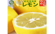 秀品　紀州有田産レモン　約2.5kg【予約】 レモン れもん 果物 柑橘【2026年3月上旬頃〜2026年3月中旬頃に順次発送予定(お届け日指定不可)】