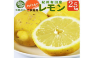 【訳あり・ご家庭用】紀州有田産レモン　約2.5kg【予約】 レモン れもん 果物 柑橘【2026年3月上旬頃〜2026年3月中旬頃に順次発送予定(お届け日指定不可)】