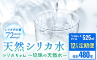 [定期便 12ヶ月] 天然 シリカ 水 525ml × 40本 ＜シリカちゃん〜玖珠の天然水〜＞ ラベルレス 天然水 シリカ水 ミネラルウォーター 国産