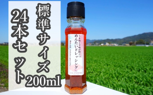 【-うま味と辛味が際立つ-めんたいドレッシング】（標準サイズ200ml）24本セット 調味料  202091 - 福岡県朝倉市