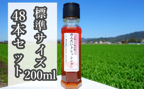 ★48本セット★【うま味と辛味が際立つめんたいドレッシング】（標準サイズ200ml） 調味料  202095 - 福岡県朝倉市
