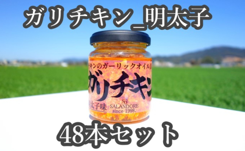 ★48本セット★【ガリチキン-明太子味】チキンのガーリックオイル漬け_明太子味（標準サイズ110g） 調味料 缶詰  202100 - 福岡県朝倉市