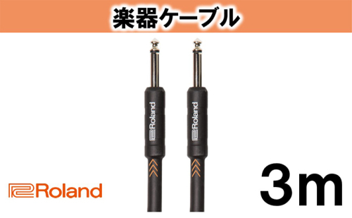 【Roland純正】楽器ケーブル 3m/RIC-B10【配送不可：離島】 20210 - 静岡県浜松市