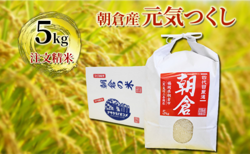 朝倉産 「元気つくし」5kg  202182 - 福岡県朝倉市