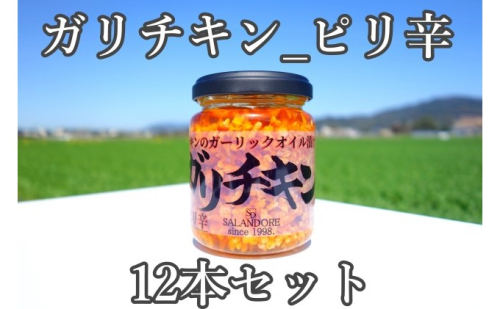 ガリチキン ピリ辛 110g×12本 たれ 調味料 缶詰  202200 - 福岡県朝倉市
