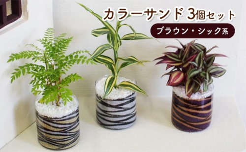 カラーサンド 3個 セット ブラウン・シック系 植物 インテリア ガーデン 202290 - 福岡県朝倉市