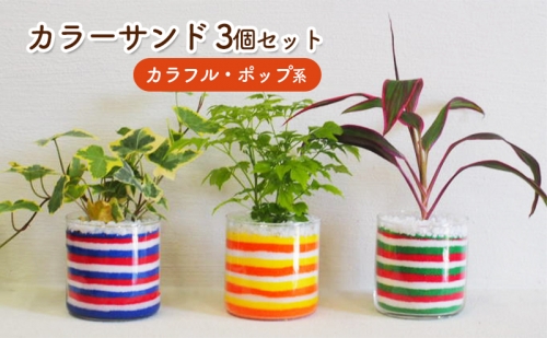 カラーサンド 3個 セット カラフル・ポップ系 植物 インテリア ガーデン 202291 - 福岡県朝倉市