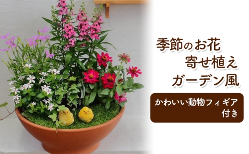 花 寄せ植え 季節のお花 ガーデン風 お任せ動物フィギア付き 植物 インテリア ガーデン 202339 - 福岡県朝倉市