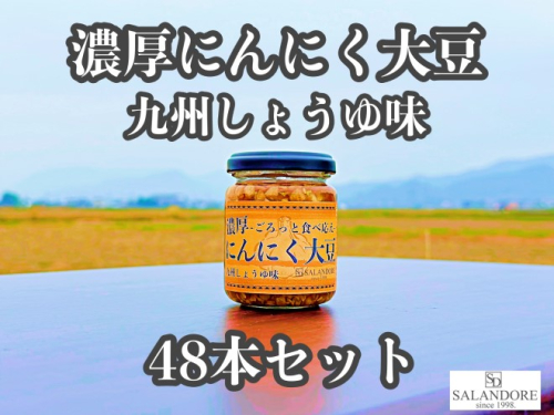 濃厚にんにく大豆_九州しょうゆ味_48本セット 加工食品 豆類 大豆ミート 独自製法 高たんぱく 食物繊維 ミネラル ビタミン オリジナルの味付け プレーン  202485 - 福岡県朝倉市