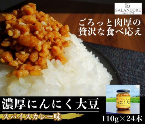 濃厚にんにく大豆_スパイスカレー味_24本セット 加工食品 豆類 大豆ミート 独自製法 高たんぱく 食物繊維 ミネラル ビタミン オリジナルの味付け  202491 - 福岡県朝倉市