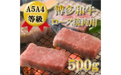 【A5 A4 等級使用】博多和牛 ロース 焼肉用 500g 【配送不可：離島】 お肉 牛肉 バーベキュー  202506 - 福岡県朝倉市