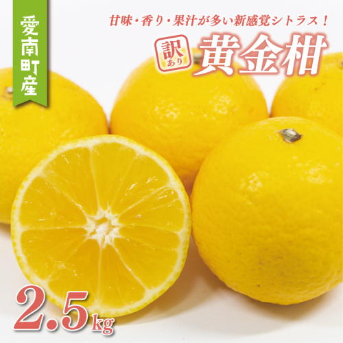訳あり 黄金柑 2.5kg サイズミックス 6000円 みかん わけあり おうごんかん ゴールデンオレンジ 高級 希少 人気 ブランド 柑橘 果物 フルーツ 数量限定 期間限定 産地直送 国産 農家直送 特産品 お取り寄せ ギフト プレゼント mikan 蜜柑 ミカン 甘い 糖度 おいしい 果汁 さわやか 果樹園みどり 愛南町 愛媛県 2025379 - 愛媛県愛南町