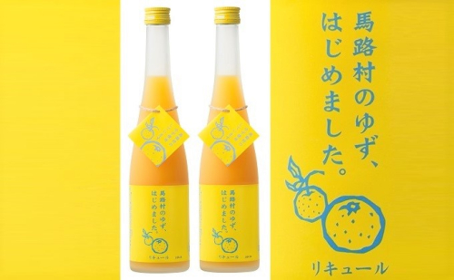 ゆず梅酒　500ml×2本　＜篠崎＞ お酒 洋酒 リキュール類  202558 - 福岡県朝倉市
