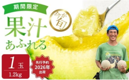 受付終了間近！【発送5月～】ジューシーな果汁たっぷりメロン ＼生産量日本一の実力！／ 旬の イバラキング メロン 茨城県 鉾田市産 めろん 1.2kg以上×1玉｜方波見農園 《安心安全栽培》上品な甘さ 絶品 産地直送 青肉 高級 おすすめ 人気 BMW農法 ジューシー 旬 大きい 甘い 国産 フルーツ 果物 ギフト プレゼント 贈り物 2025652 - 茨城県鉾田市