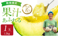 【発送5月～】ジューシーな果汁たっぷりメロン ＼生産量日本一の実力！／ 旬の イバラキング メロン 茨城県 鉾田市産 めろん 1.2kg以上×1玉｜方波見農園 《安心安全栽培》上品な甘さ 絶品 産地直送 青肉 高級 おすすめ 人気 BMW農法 ジューシー 旬 大きい 甘い 国産 フルーツ 果物 ギフト プレゼント 贈り物