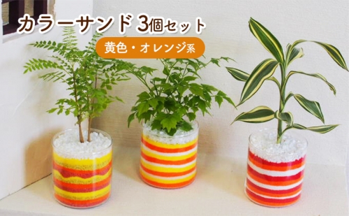 カラーサンド 3個 セット 黄色・オレンジ系 植物 インテリア ガーデン 202576 - 福岡県朝倉市