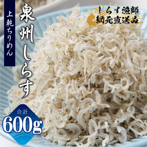 上乾ちりめんしらす 600g【小分け 100g×6P シラス しらす sirasu 海鮮 人気 おすすめ 産地直送】 G2183 2026891 - 大阪府泉佐野市