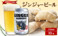 ジンジャービール 10本 セット 350ml 地ビール ビール びーる お酒 さけ 生姜 しょうが ジンジャー BBQ 夏 晩酌 家計応援 おすすめ 人気 高知県 中土佐町 缶ビール 醸造 直送 アルコール beer Beer 缶 瓶 お楽しみ  特産品 お土産 プレゼント i合同会社