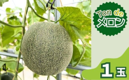 8farmのメロンは、イチゴの高設栽培システムにて管理・空中栽培されたイチゴ屋さんのつくる宙に浮かぶ美味しいメロンです。品種？Ton de ペルル「ペルルグリーンメロン」は、ネット系青肉メロンで、爽や