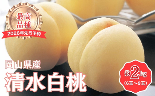 【2026年先行予約】［拝郷果樹園］岡山県産 清水白桃 約2kg（6玉〜9玉） 2029082 - 岡山県鏡野町