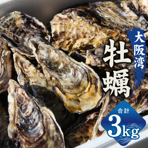 牡蠣 3kg【先行予約 かき カキフライ 冷凍 加熱用 殻付き 魚介類 海鮮 大阪湾 産地直送】 G2187 2030013 - 大阪府泉佐野市