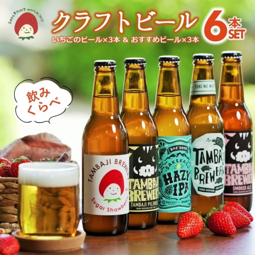 【丹波路ブルワリー】クラフトビール 飲みくらべ 6本 セット 203028 - 兵庫県西脇市