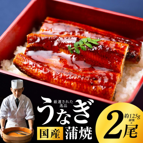 国産うなぎ 約125g×2尾 秘伝のたれ 蒲焼 鰻 ウナギ 有頭 炭火焼き 備長炭 手焼き G1850 203047 - 大阪府泉佐野市