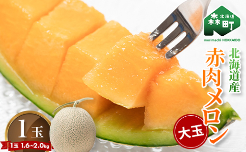 【先行予約】北海道森町産赤肉メロン大玉 1玉（約1.6～2kg）（2026年6月上旬～8月上旬頃に順次お届け）＜道産ネットミツハシ＞ 森町 メロン 果物 赤肉 北海道産 ふるさと納税 北海道 mr1-0815 203078 - 北海道森町