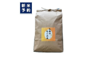 【新米受付・令和7年産米】新潟県村上市産　コシヒカリ「大毎のめぐみ米」5kg　1093003N