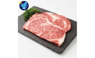 ＜父の日＞枕崎牛 ロースステーキ＜400g＞ 国産和牛 焼肉 B3-63F【1605858】