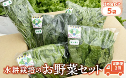 返礼品概要：就労継続支援事業（B型）所共伸園の温室ハウスで水耕栽培した野菜です。名称：野菜詰め合わせ産地：岩手県金ケ崎町産発送温度種別：冷蔵【キーワード】国産 野菜 高騰 2024 価格 値段 野菜炒