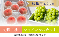 [2026年先行予約]厳選した桃と大粒のシャインマスカットが届く満足便!2回便 (定期便)(岡山県産)[KF-T036-01]