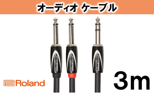 【Roland純正】オーディオケーブル 3m/RCC-10-TR28V2【配送不可：離島】 20330 - 静岡県浜松市