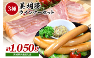 美明豚ウインナーセット 3種 計1,050g (フランク300g・ウインナー500g・ベーコン250g) 茨城県産 ブランド豚 SPF豚使用 ジューシーで柔らか 滑らかな口どけ 贈答用 ギフト BBQ 朝食用 茨城県 潮来市 (A12-011)