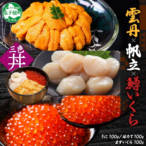 3627. うに チリ産 冷凍 100g 鱒いくら醤油漬け 100g ホタテ 100g セット ウニ 雲丹 いくら イクラ ますいくら ほたて  帆立 海鮮 海鮮丼 三色丼 送料無料 北海道 弟子屈町 203345 - 北海道弟子屈町